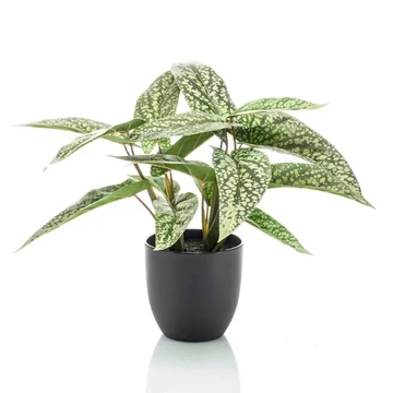 Agancspáfrány műnövény 35cm , fern staghorn cserepes műnövény