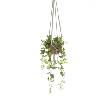 Philidendron függú műnövény 130cm magas műanyag cserépben