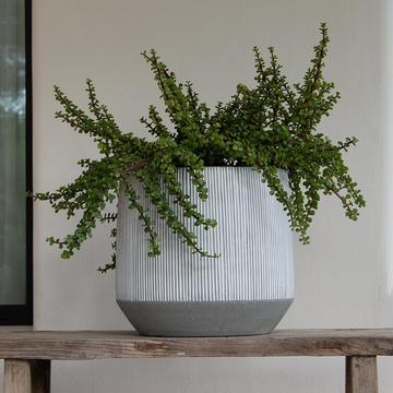 Harith kerek íves kültéri kaspó a Pottery Pots kollekciójából