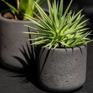 beltéri kőhatású kaspó a pottery pots kollekciójából