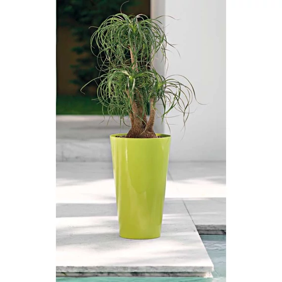 Sintra M54cm - zöld