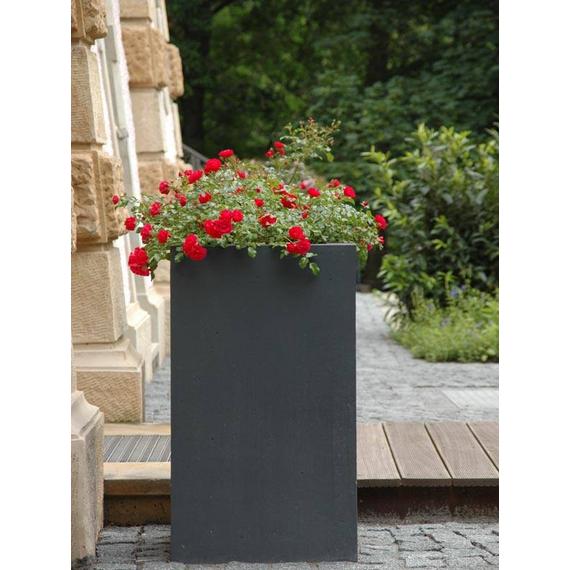 Bouvy M, 60cm magas antracit szürke kaspó E1016-60-03