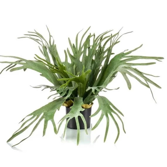 Szarvasagancs páfrány műnövény 65cm , fern staghorn cserepes műnövény