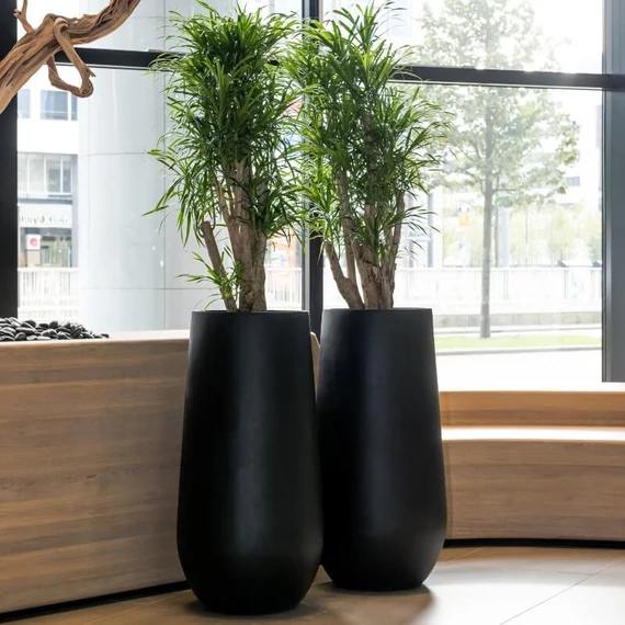 Nax M  100cm magas kaspó növénytartó bejáratokhoz E1036-100-03 Pottery Pots