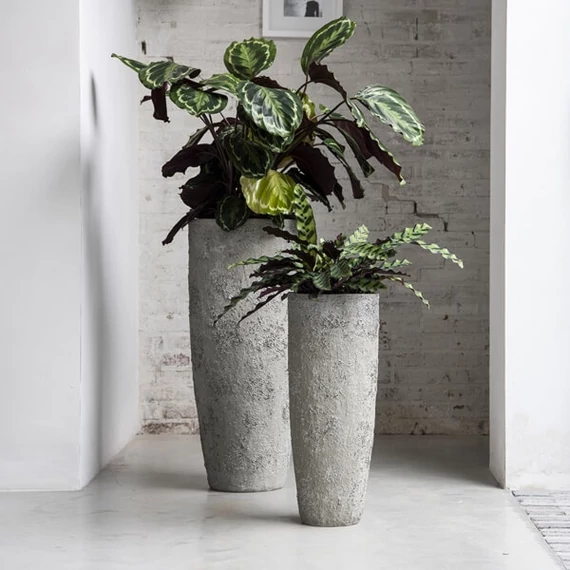 Dax L barna 80cm magas kültéri fagyálló kaspó pottery pots