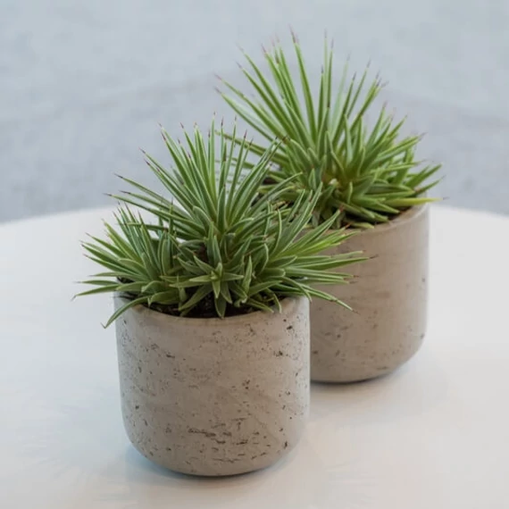 beltéri kőhatású kaspó a pottery pots kollekciójából