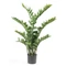 Zamioculcas 110cm , agglegénypálma cserepes műnövény, 11 ággal