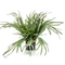 Szarvasagancs páfrány műnövény 65cm , fern staghorn cserepes műnövény