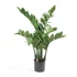 Kép 1/3 - Zamioculcas 70cm , agglegénypálma cserepes műnövény, 7 ággal