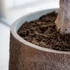 Kép 2/3 - Tarb XL barna 90cm magas kültéri fagyálló kaspó pottery pots