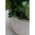 Kép 2/3 - R3024-80-90 Pottery Pots Jumbo Charlie M, D84*M80,5cm - mosott bézs kaspó