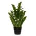 Kép 1/2 - Zamioculcas M agglegénypálma műnövény 90cm magas fekete műanyag kaspóban F1006-90-91