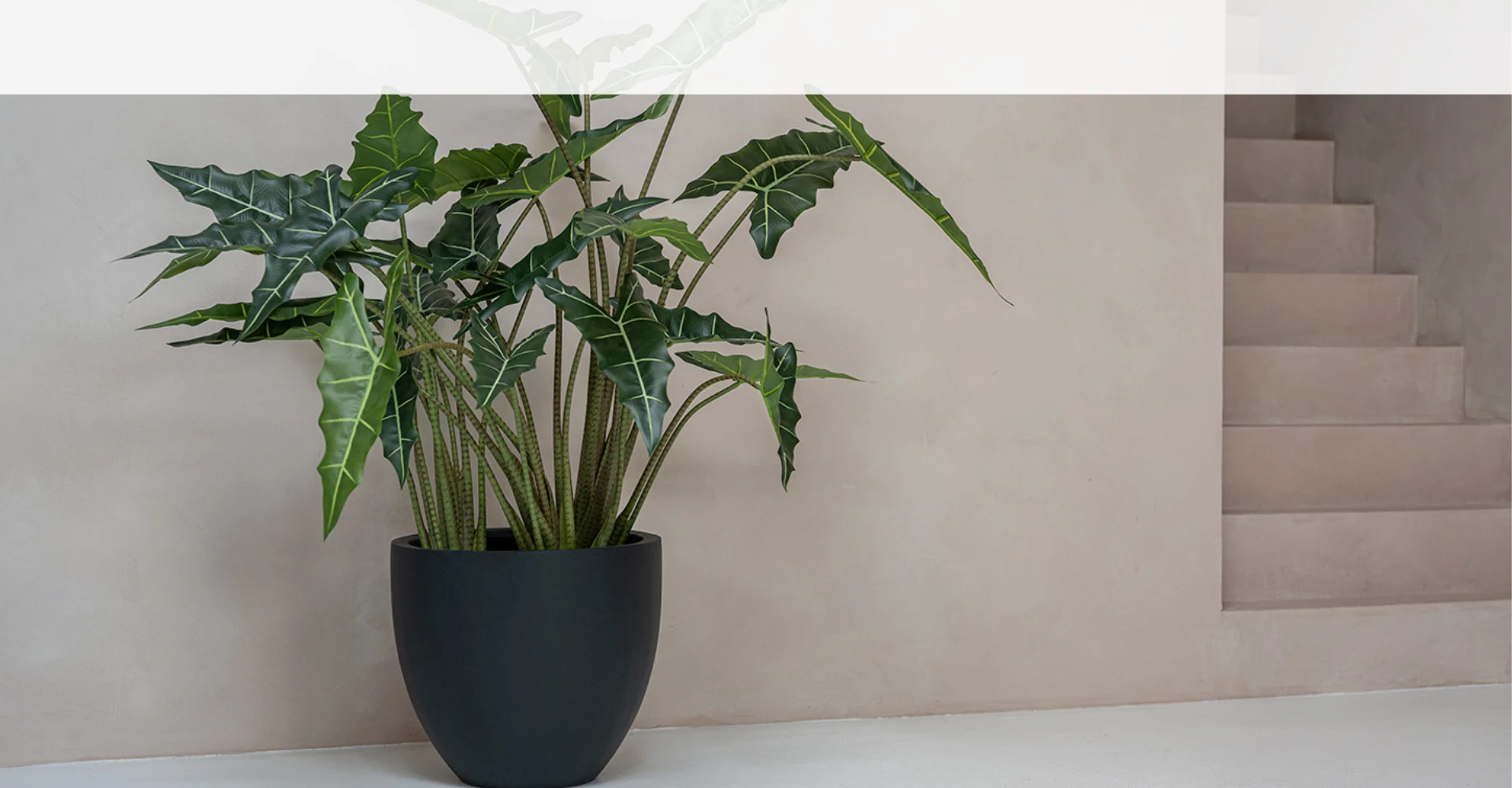 Utolsó darabok utolsó árak